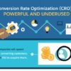 Conversion Rate Optimization: Is Your Website Properly Optimized?